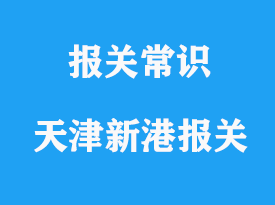 天津新港報關代理公司