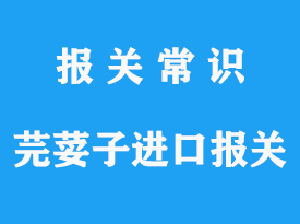 芫荽子進口報關(guān)流程，芫荽子進口報關(guān)資質(zhì)公司