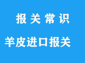 羊皮進口報關(guān)清關(guān)操作手續(xù)流程