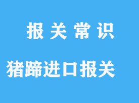 豬蹄進(jìn)口報關(guān)手續(xù)港口操作指南