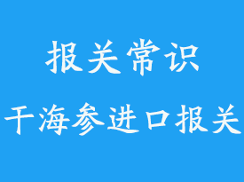 探秘國際貨運代理公司：順勢而為，連接世界
