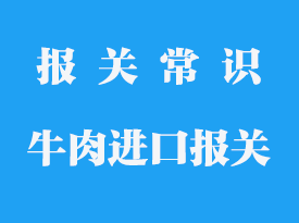 從國(guó)外進(jìn)口牛肉需要辦理哪些手續(xù)-_專業(yè)報(bào)關(guān)行