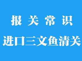 進口三文魚清關(guān)需要做的手續(xù)有哪些