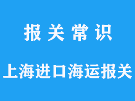 發(fā)展壯大的散貨船代公司：打造全球物流新紀元