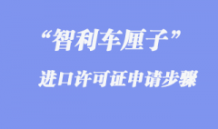 進(jìn)口智利車?yán)遄由虾?bào)關(guān)許可證申請(qǐng)流程步驟