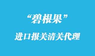 碧根果進口報關代理