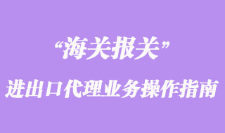 進出口代理業(yè)務操作指南詳解