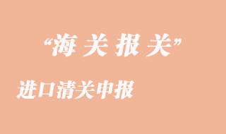進(jìn)口清關(guān)申報(bào)