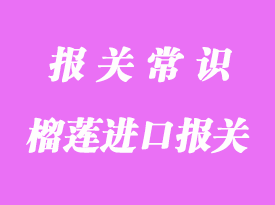 馬來西亞貓山王榴蓮進口報關(guān)需要注意的事項