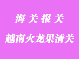 越南火龍果進(jìn)口到國(guó)內(nèi)口岸清關(guān)手續(xù)如何辦理