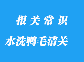 水洗鴨毛進口清關(guān)手續(xù)流程與注意事項