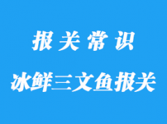 挪威進(jìn)口冰鮮三文魚機(jī)場清關(guān)方案